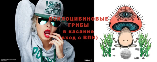 соль ск Алзамай