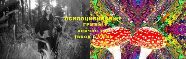 прущие крисы Алексеевка
