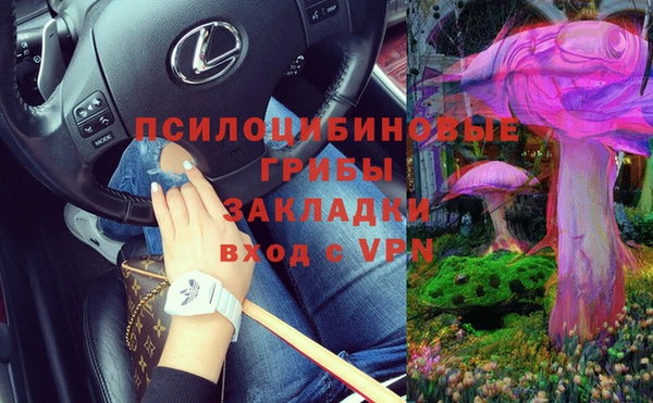ПСИЛОЦИБИНОВЫЕ ГРИБЫ Рославль