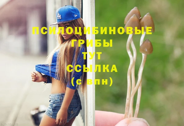 прущие крисы Алексеевка